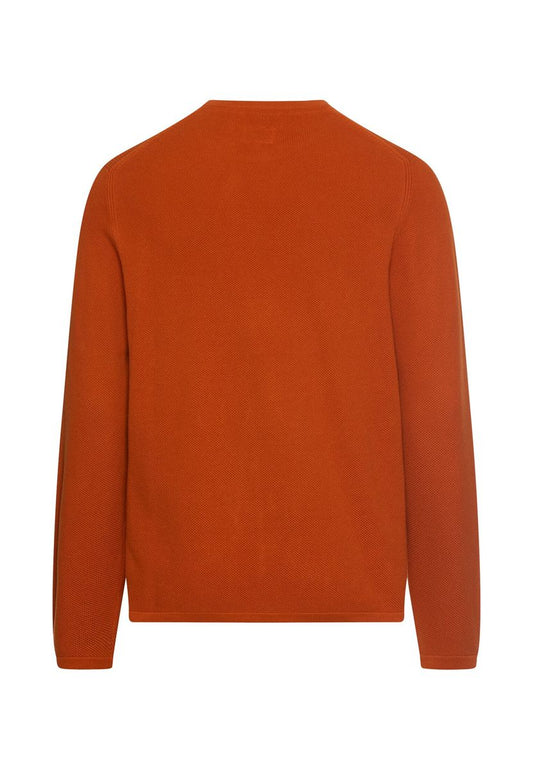 Pullover aus reiner Baumwolle