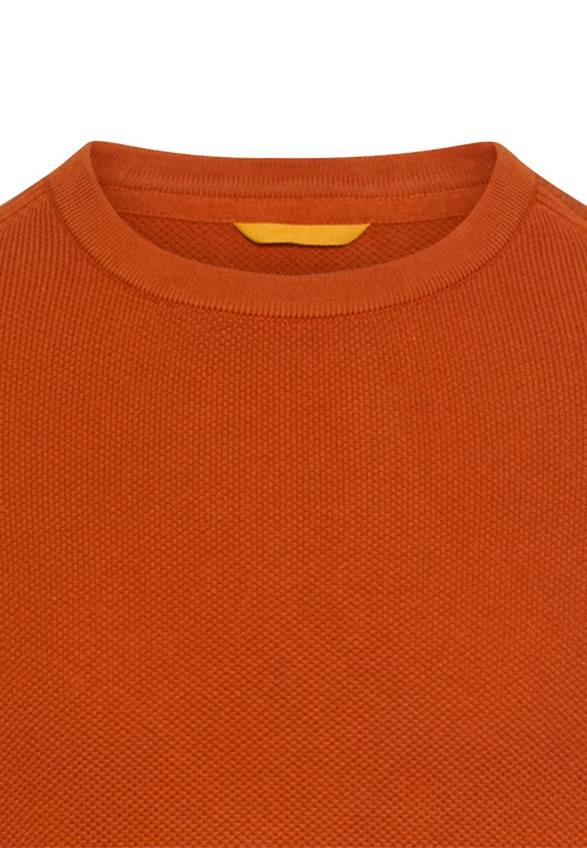 Pullover aus reiner Baumwolle