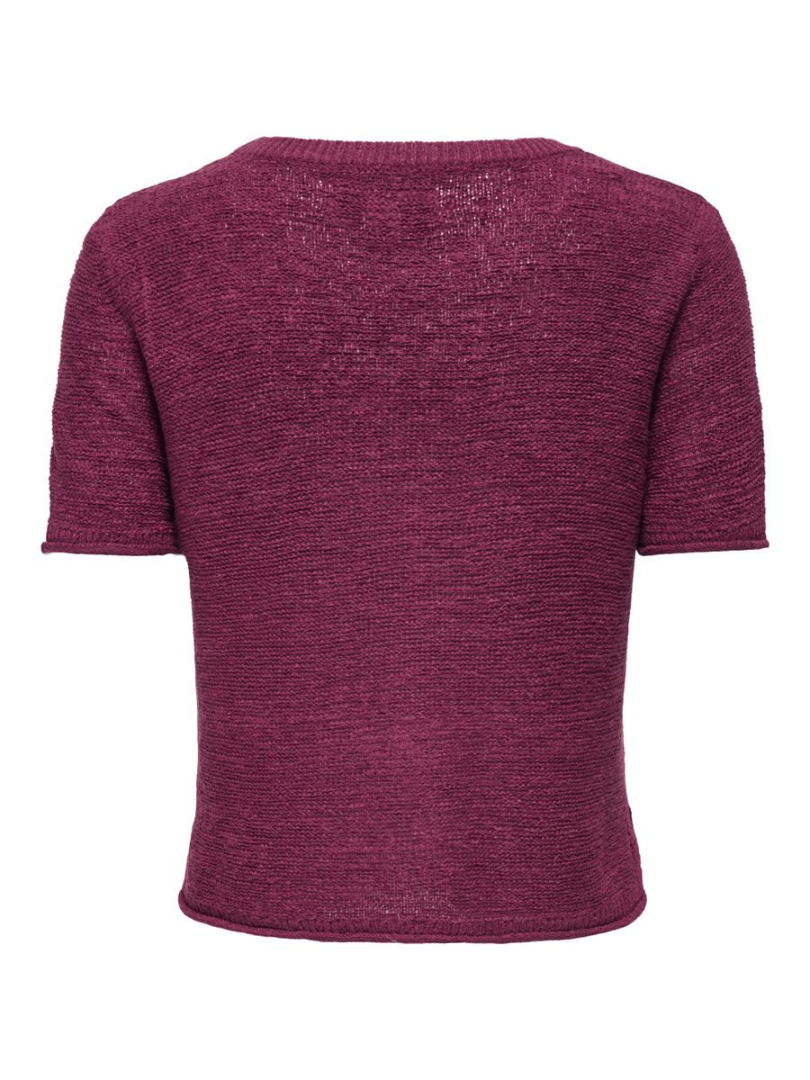 ONLSUNNY S/S PULLOVER KNT NOOS