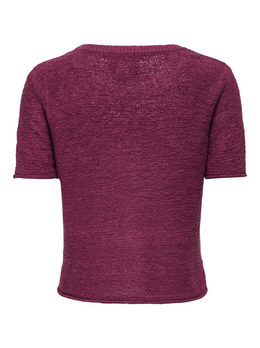 ONLSUNNY S/S PULLOVER KNT NOOS
