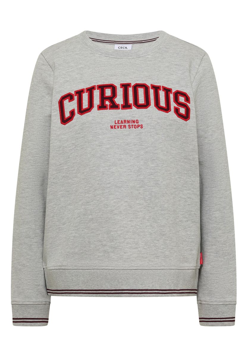 Sweatshirt mit Rundhals und Stickerei