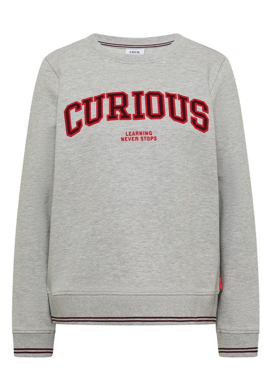 Sweatshirt mit Rundhals und Stickerei