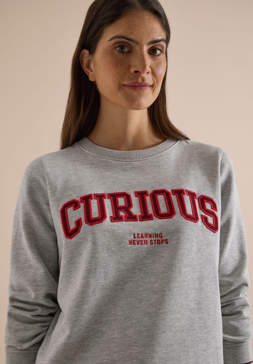 Sweatshirt mit Rundhals und Stickerei